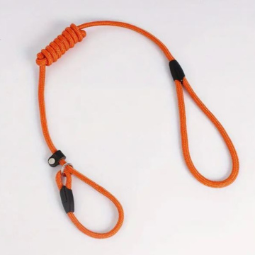 Laisse à chien Lasso ORANGE