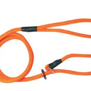Laisse à chien Lasso ORANGE